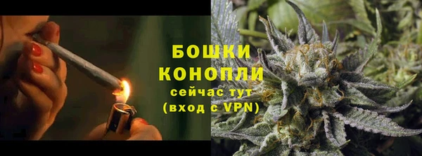 эйфоретик Богданович