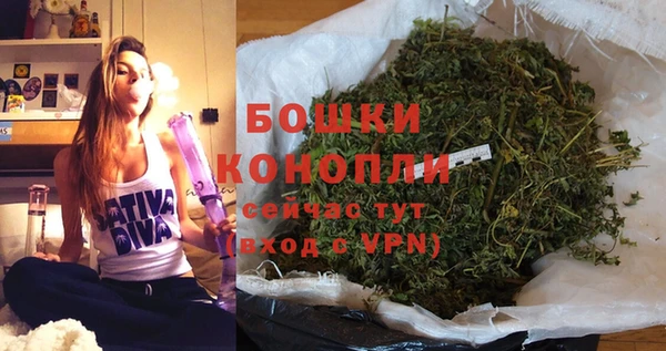 эйфоретик Богданович